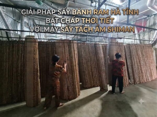 Giải Pháp Sấy Bánh Ram Hà Tĩnh Bất Chấp Thời Tiết Với Máy Sấy Tách Ẩm Shiman